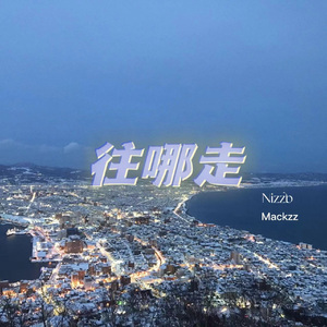 往哪走（prod.by MORROW）（Remix)