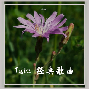 Guljamol [uluh jawun]