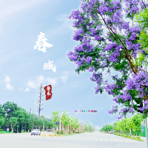 春城