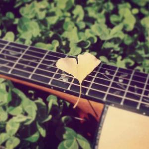 朝の光を感じて 片段