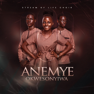 Anemye Okwesonyiwa