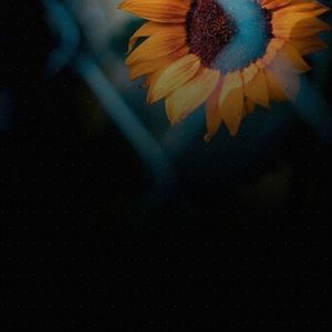 Girls Need Love (sped up)