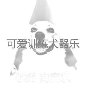 微妙的训练犬心情