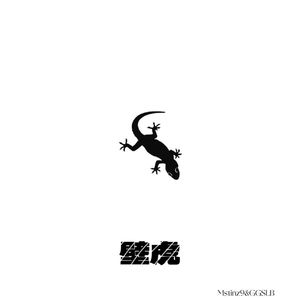 壁虎（prod by.MEGA）