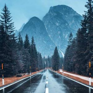 春日里钻出土的第一棵小草