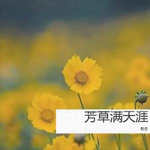 芳草满天涯