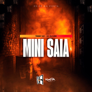 Mini Saia