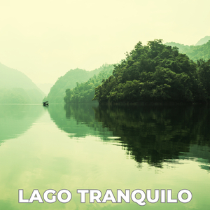 Reparador y Relajante