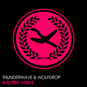Electric Voice (Original Mix)