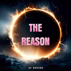 The Reason