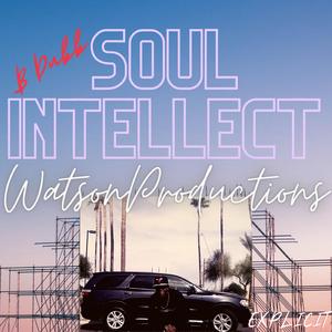 Soul Intellect
