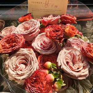 性格恶劣脸却乖