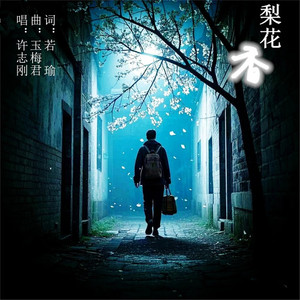 梨花香-快三步舞曲 (Remix)