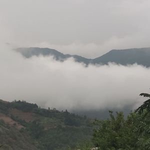 雪之颠 伴奏