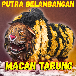Macan Tarung