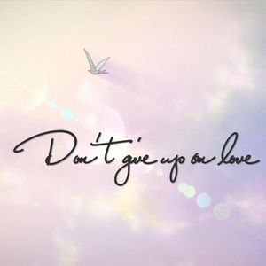 别放弃爱