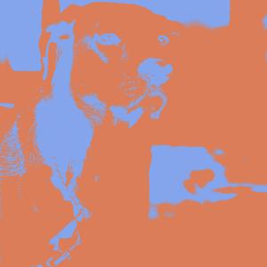 taking the trash out at 70mph