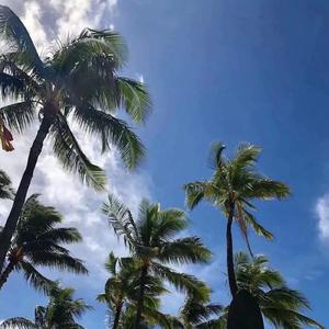 Adele-Hello（Bourbon9 / 念宸 / HETR remix）