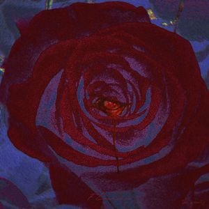 潜んでるよ、万華鏡の中に