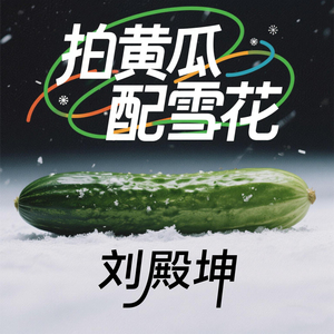拍黄瓜配雪花(人生几何能够得到知己)