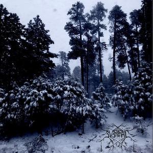 Dreams Ov Blood That Taste Like Her