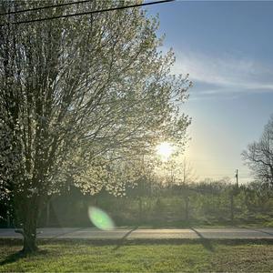 D.N.D. (feat. floXVX)