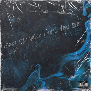 dont cry when i tell you bye (feat. Fablesgrave)