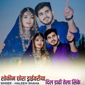 Shaukin chhora driveriya dil dadhi tela sike