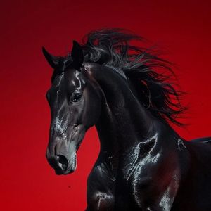 Horse Memphis Type Beat