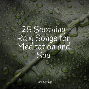 Windy, Rainy Streets