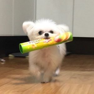 遇见你的时候所有星星都落到我头上