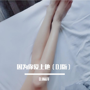 因为你爱上他（DJ版）