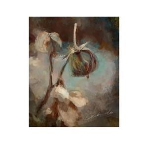 枯萎的；憔悴的