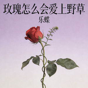 玫瑰怎会爱上野草