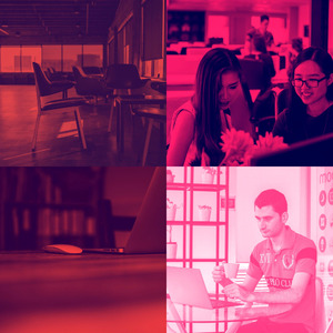 一尘不染专注印象数