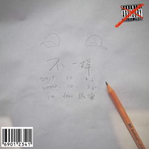 不一样（prod.DRP project)