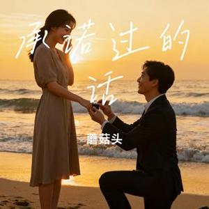 承诺过的话