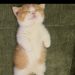 录音机-20260422-0017.wav