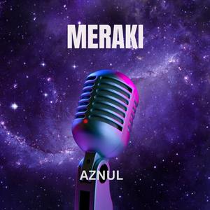 Meraki
