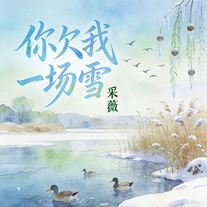 你欠我一场雪