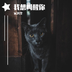 我想叫醒你（翻自 帕特龙）