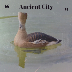 Bloody Hospital a Master