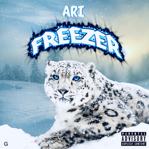 Freezer