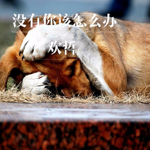 没有你该怎么办