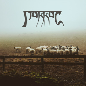 Сплошное враньё (Акустика)