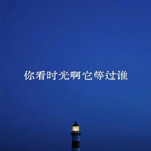 你看时光啊它等过谁