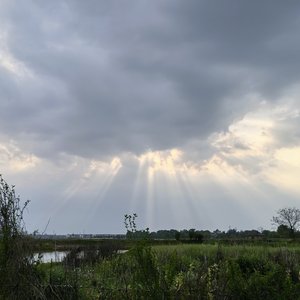 与自己和解