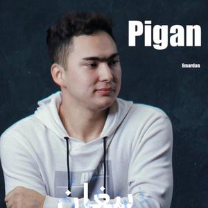 Pigan悲哀