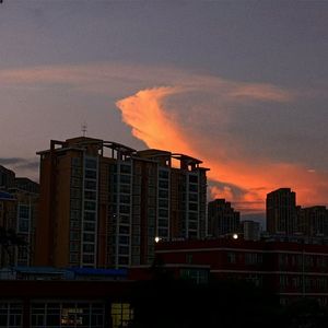 落花 Falling flower