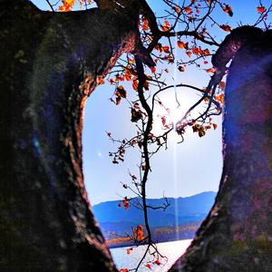 天嵊 - 爱恨要趁早